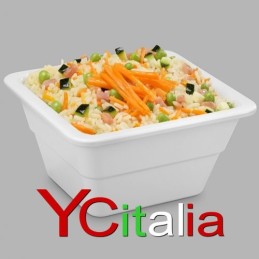 Bacinelle 2/4 GN gastronorm melamina bianca20,50 €20,50 €Bacinelle Melamina biancaF.A.R.H. Snc Di Bottacin Antonio & C