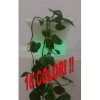 Vaso fiori luminoso a led grande70,00 €70,00 €Fioraie a ledF.A.R.H. Snc Di Bottacin Antonio & C