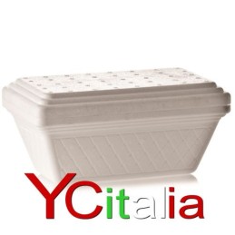 Vaschette termiche gelato Lux 1000 cc, 120 pezzi92,00 €92,00 €Attrezzature per gelateriaF.A.R.H. Snc Di Bottacin Antonio & C