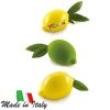 Stampo LIMONE & LIME27,00 €27,00 €Stampi in silicone 3D fruitsF.A.R.H. Snc Di Bottacin Antonio & C