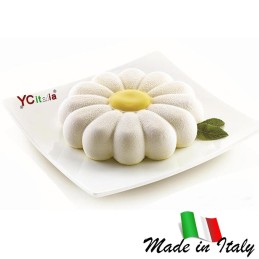 Cucina a gas da appoggio 2 fuochi629,00 €629,00 €HomeF.A.R.H. Snc Di Bottacin Antonio & C