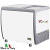 Congelatore orizzontale 260lt 990x705xh875 mm766,50 €766,50 €Congelatori a pozzetto professionaliF.A.R.H. Snc Di Bottacin Antonio & C