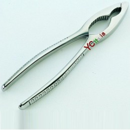 Schiaccianoci in acciaio inox15,00 €15,00 €VarieF.A.R.H. Snc Di Bottacin Antonio & C