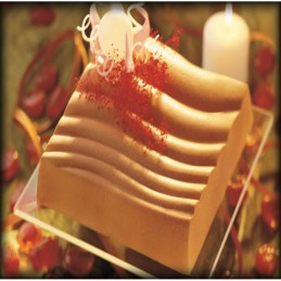 Stampi semifreddo riutilizzabili in plastica|F.A.R.H. Snc Di Bottacin Antonio & C