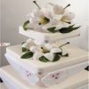 Alzata porta torte mod. Farfalle195,00 €195,00 €Alzata torte plexiglassF.A.R.H. Snc Di Bottacin Antonio & C