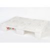 Pallet bianco per alimenti118,50 €118,50 €pallet in plastica per alimentiF.A.R.H. Snc Di Bottacin Antonio & C