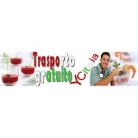 Bicchieri finger food bicchierini monoporzione Bicchierini finger food